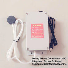 Load image into Gallery viewer, 200-1000mg/h Ozone Generator, Ozone Generator for Home