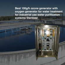 Load image into Gallery viewer, Best 100g/h ozone generator with oxygen generator for water treatment for industrial use water purification systems Sterilizer