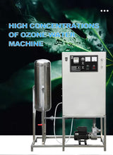 Load image into Gallery viewer, Factory Direct Sale 10g ,20g,30g/h Ozone Water Machine for SPA Swimming Pool Fountain